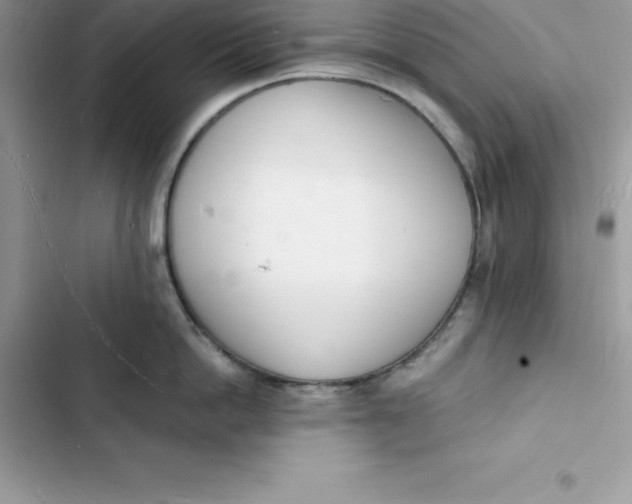 X0000103300862200809191853