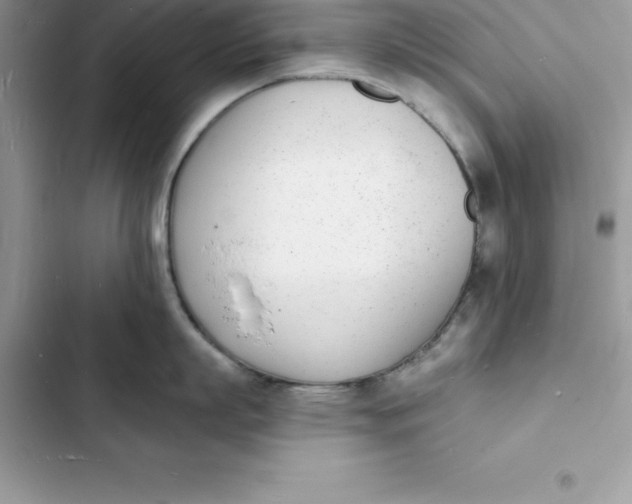 X0000103300863200809191853