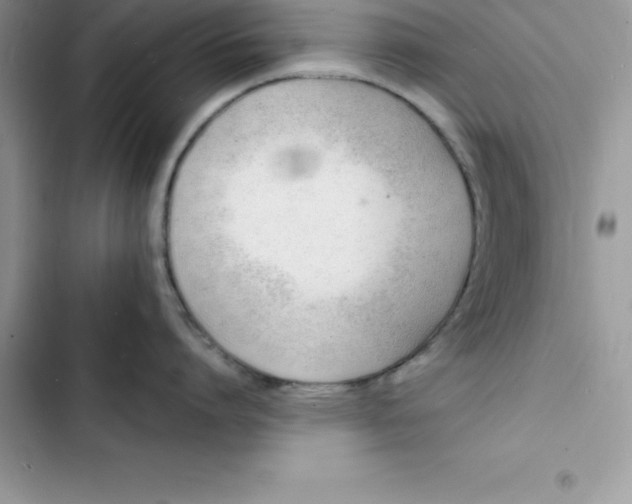 X0000103300864200809191853