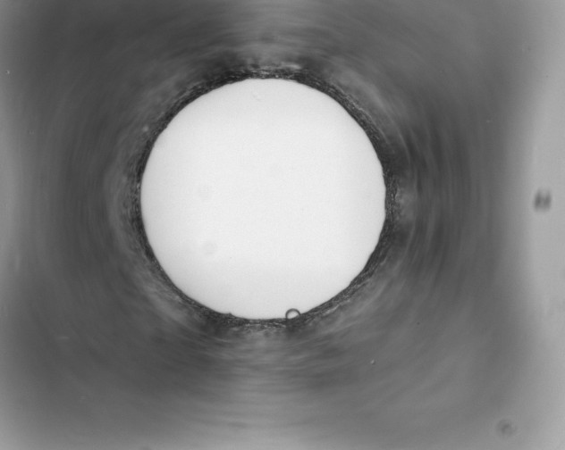 X0000103300865200809191852