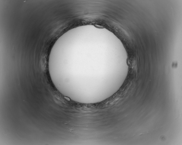 X0000103300868200809191852