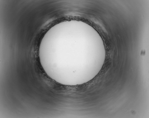 X0000103300870200809191852