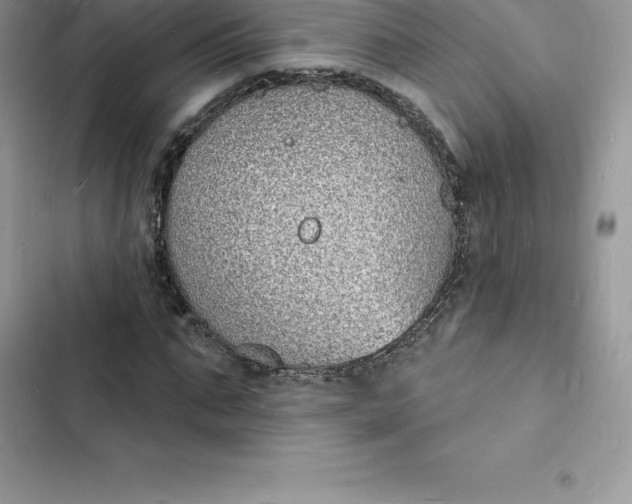 X0000103300871200809191852