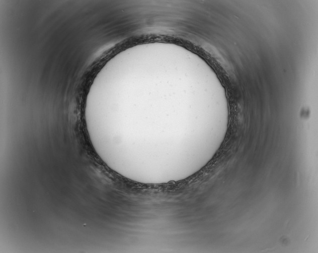 X0000103300872200809191852