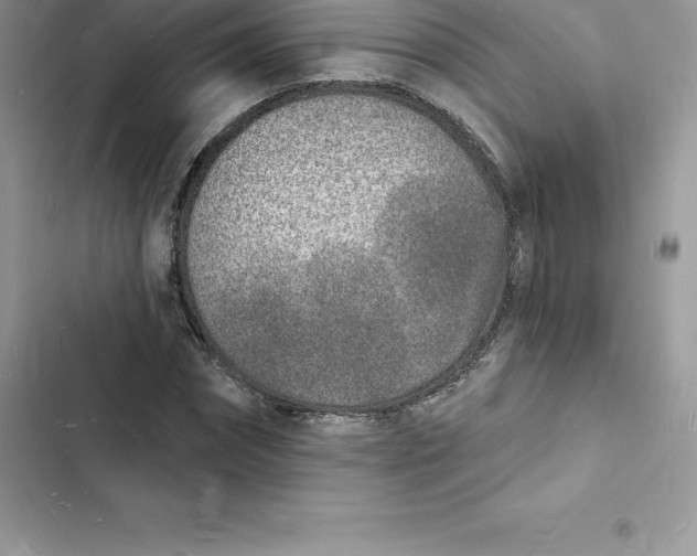 X0000103300874200809191852