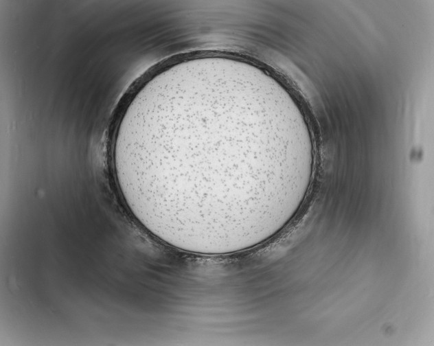 X0000103300875200809191852