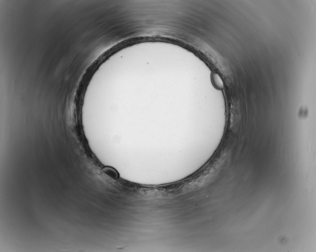 X0000103300876200809191852