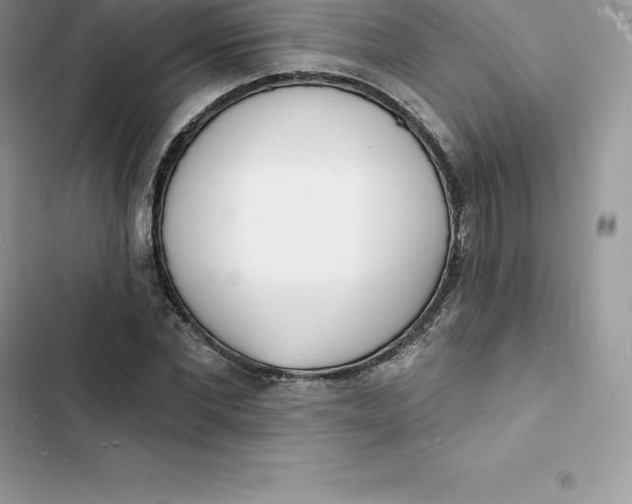 X0000103300877200809191852