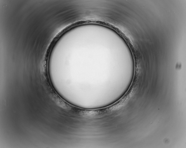 X0000103300879200809191852