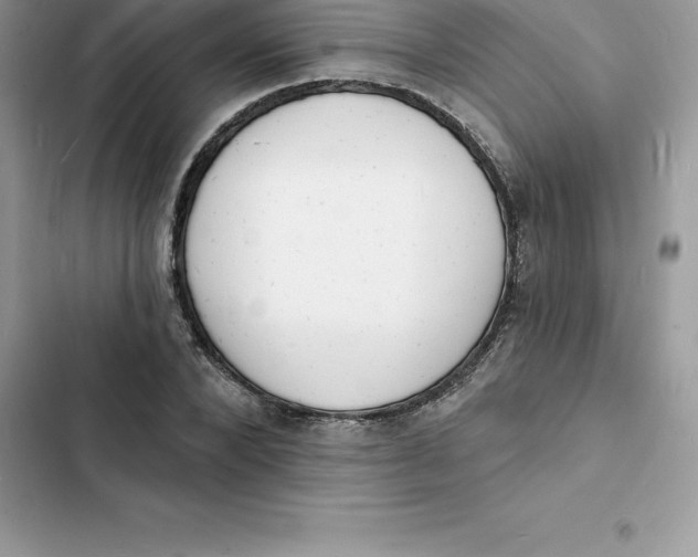 X0000103300880200809191852