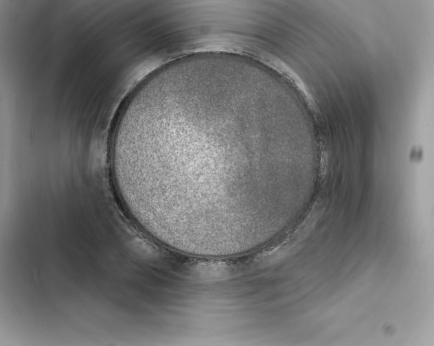 X0000103300882200809191852