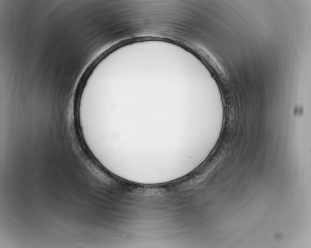 X0000103300884200809191852