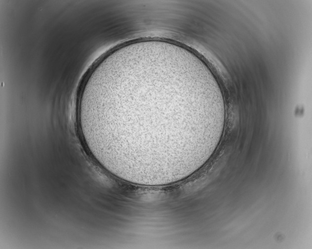 X0000103300886200809191852