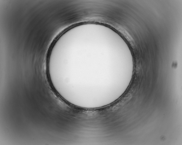 X0000103300888200809191852