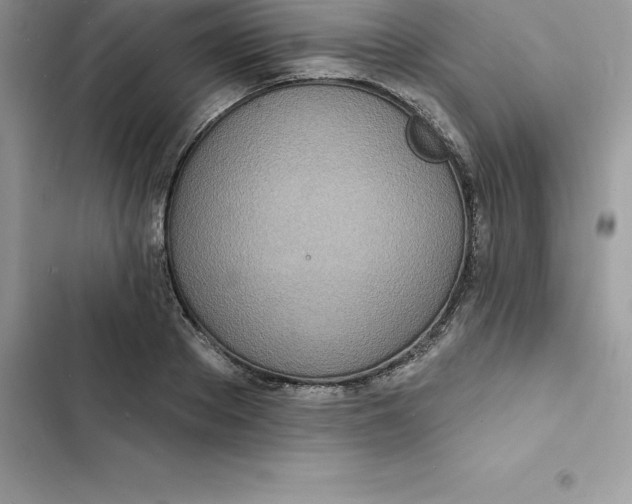 X0000103300889200809191852