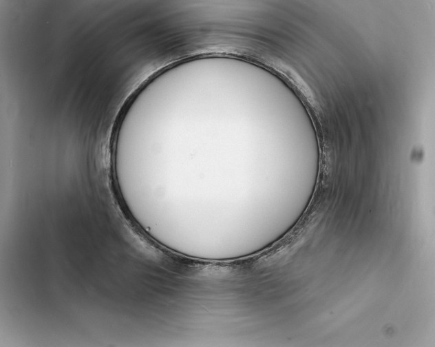 X0000103300890200809191852