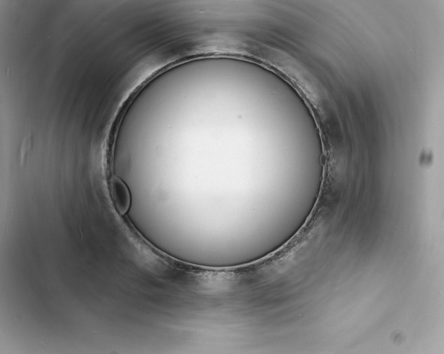 X0000103300893200809191851