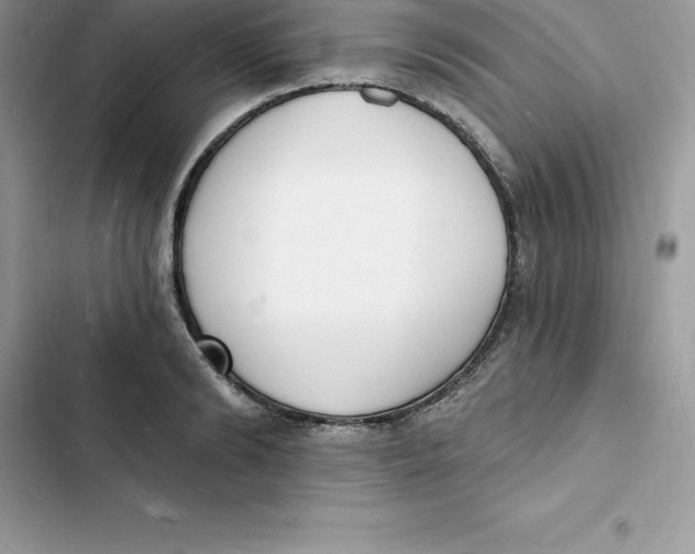 X0000103300894200809191851