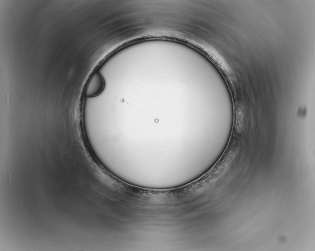 X0000103300895200809191851