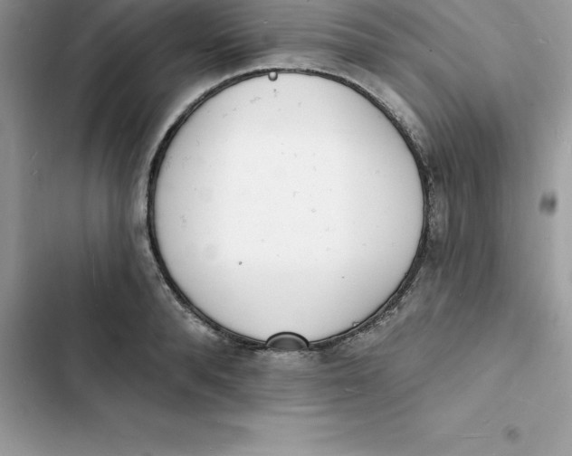 X0000103300896200809191851