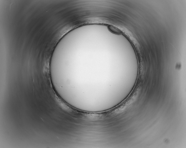 X0000103300897200809191851