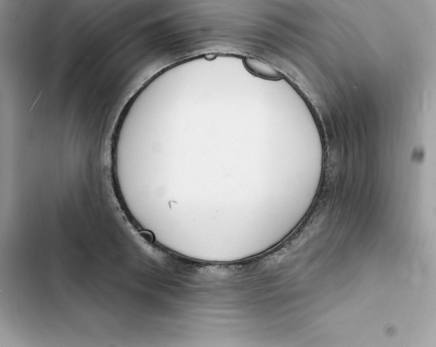 X0000103300898200809191851