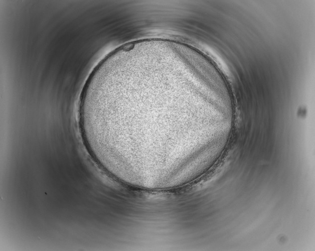 X0000103300899200809191851