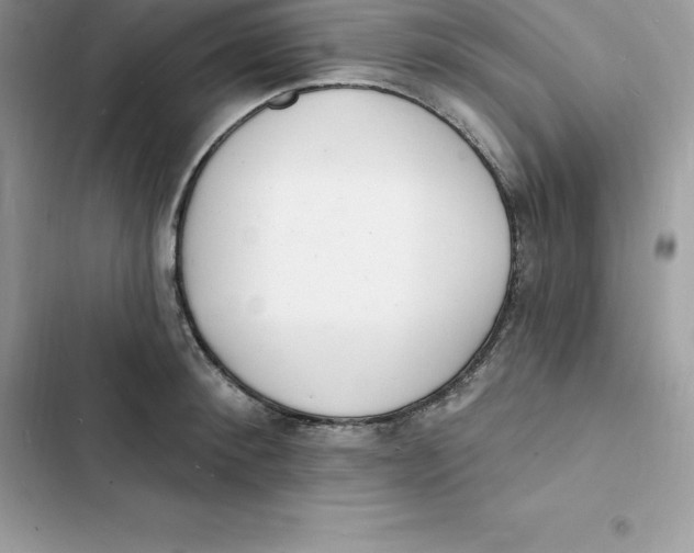 X0000103300900200809191851