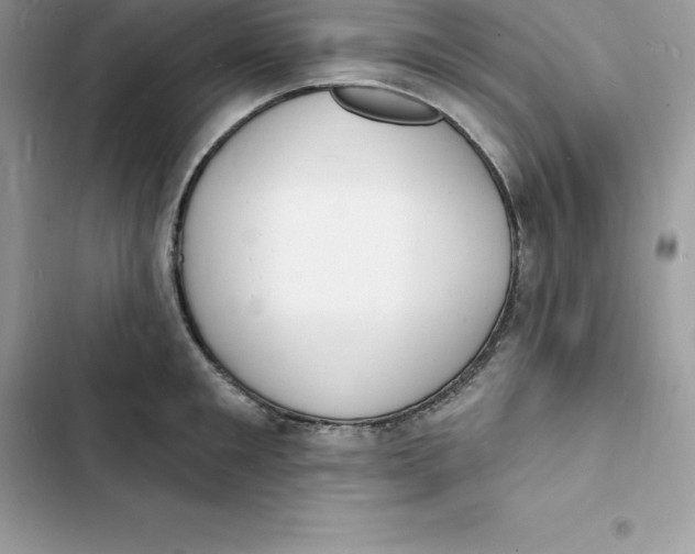 X0000103300901200809191851