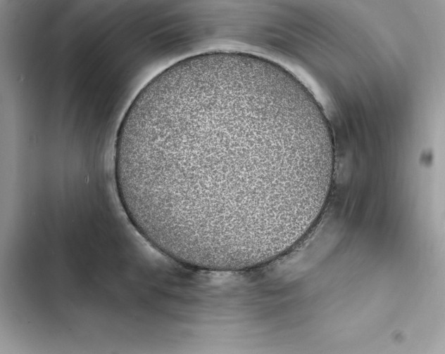 X0000103300903200809191851