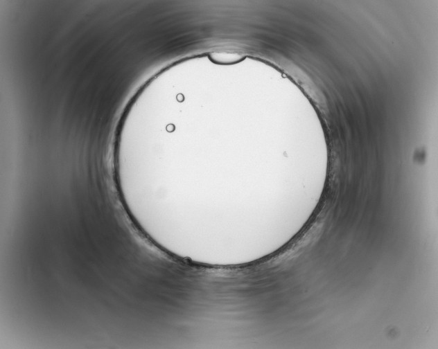 X0000103300904200809191851