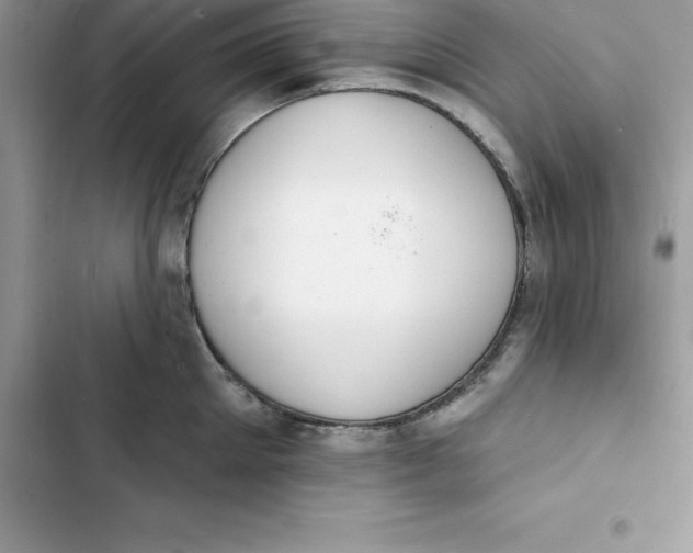 X0000103300905200809191851