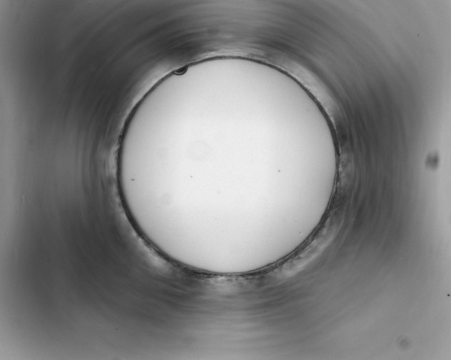 X0000103300906200809191851