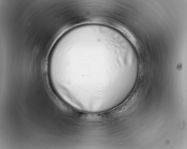 X0000103300907200809191851