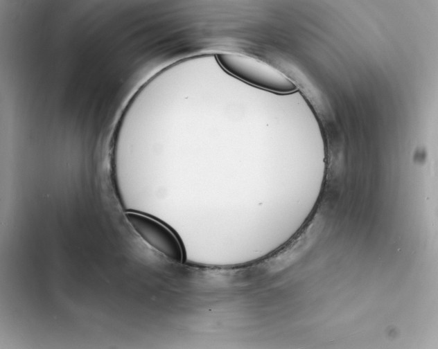 X0000103300908200809191851