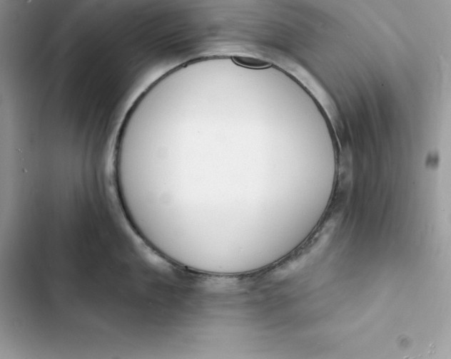 X0000103300909200809191851