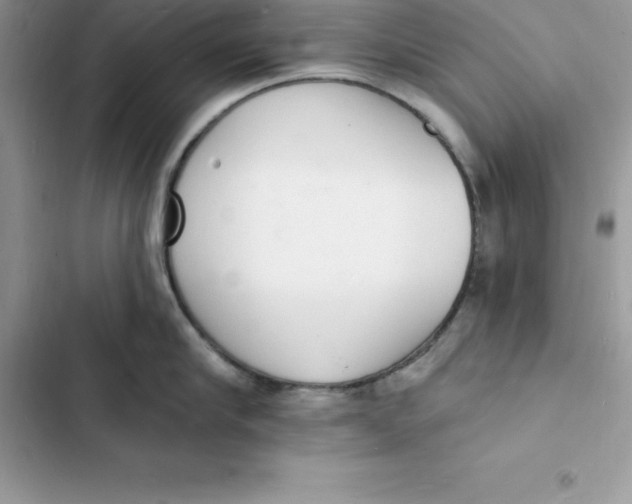 X0000103300910200809191851