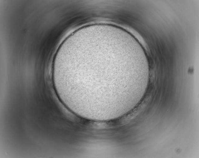 X0000103300911200809191851