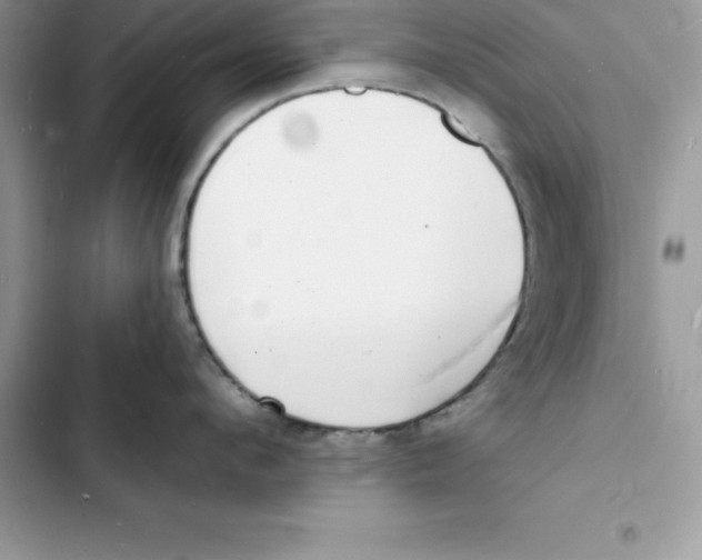 X0000103300912200809191851