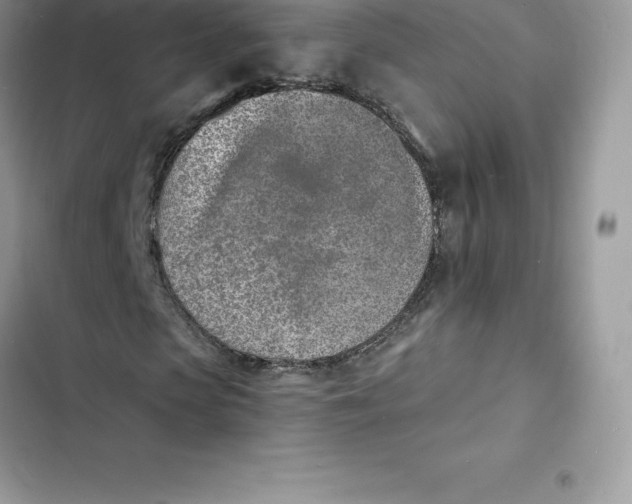 X0000103300913200809191850