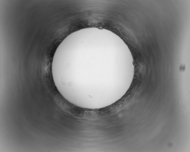 X0000103300914200809191850