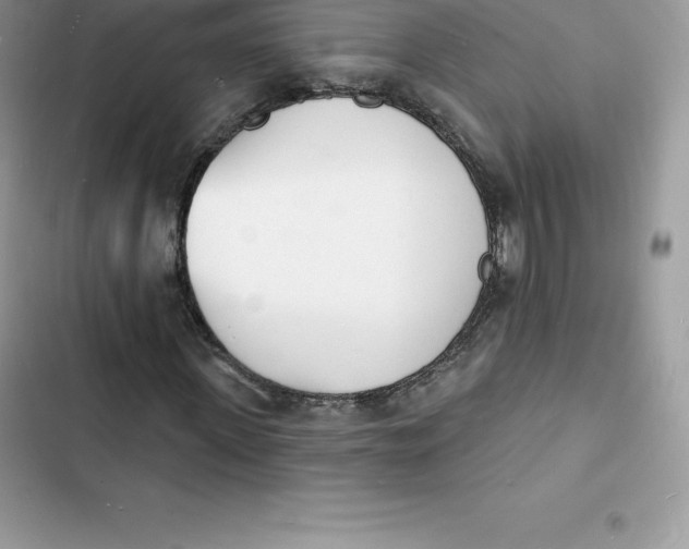 X0000103300915200809191850