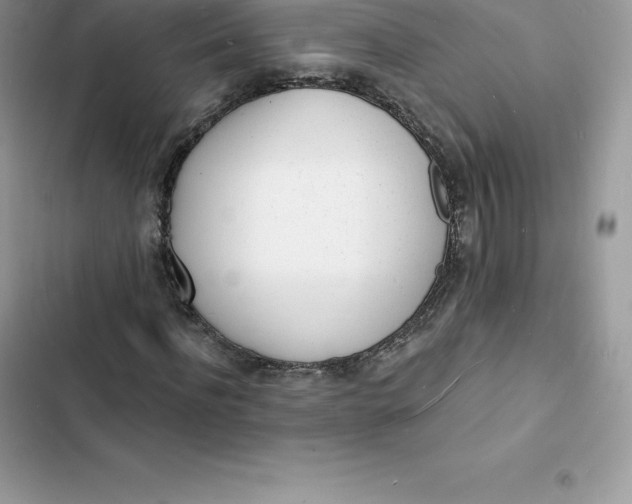 X0000103300916200809191850