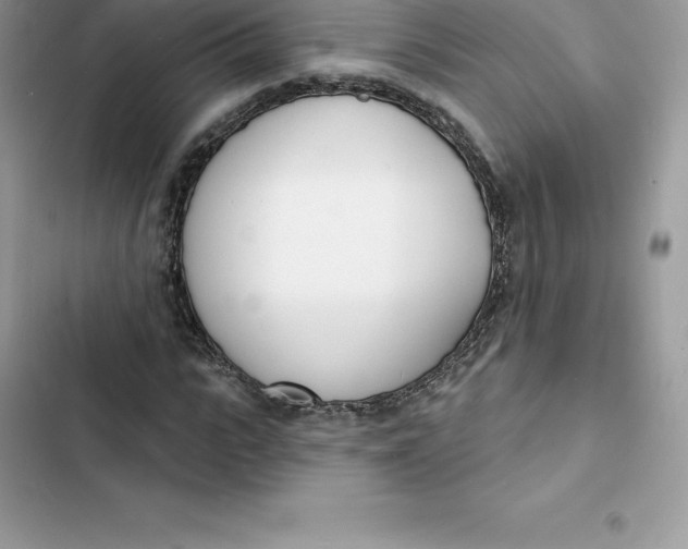 X0000103300919200809191850