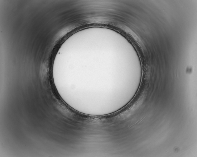 X0000103300922200809191850