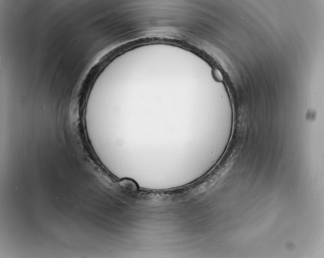 X0000103300923200809191850