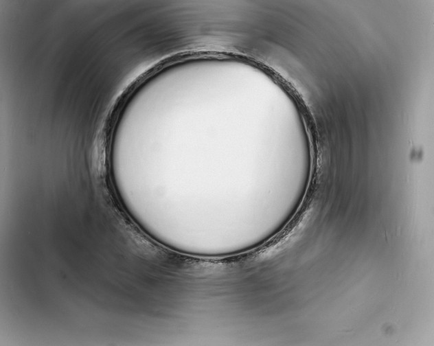 X0000103300925200809191850