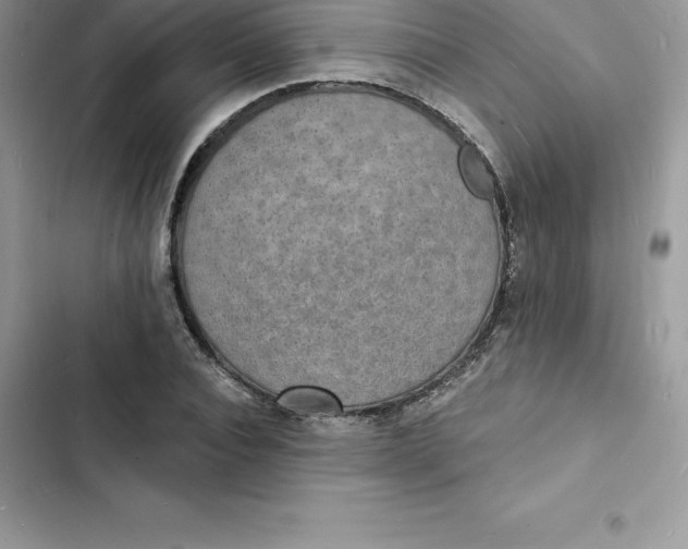 X0000103300928200809191850