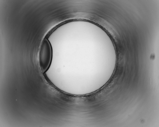 X0000103300936200809191851