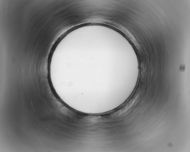 X0000103300939200809191851